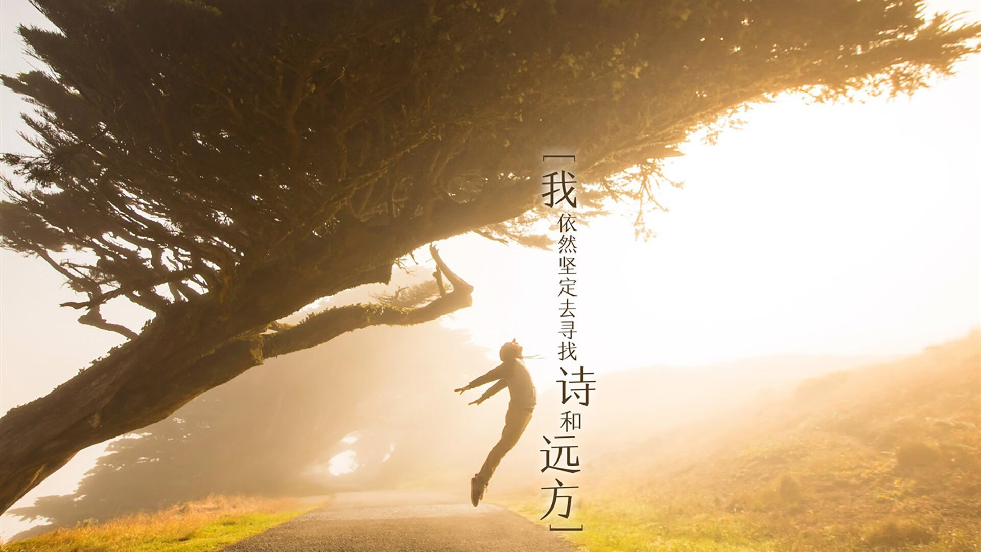 开云网址入口-麦基翁冲线时刻引发现场欢呼，麦基翁多大